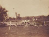 mildred-muriel-virginia-ercile-beale-with-little-bethel-church-in-background-82280010