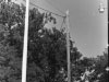 cvfd-dedication-of-flag-pole-in-memory-of-floyd-buck-harrellimg579