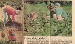 dottie-bradshaw-picking-strawberries-img678