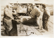 hog-killing-norris-farm-l-to-r-j-e-white-brooklyn-pruden-stirring-cecil-rhodes-jeryl-white-img194