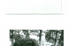 cowling-lot0003