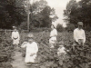 dailey-children-in-sandy-bottom-field-1919-img778