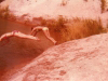 judy-franco-and-jo-lambdin-at-marl-hole-img627