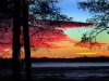 nansemond-river-chuckatuck-sunrise-jhsii