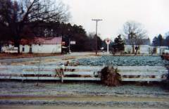 lynn-rose-collection026