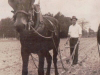 jesse-oliver-plowing-with-mule-in-1943