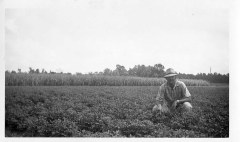 wilson-pruden-in-peanut-field-at-sandy-bottom-img062