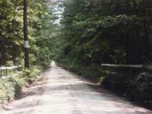 lane-to-brian-farm-img155