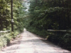 lane-to-brian-farm-img155