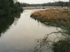 upper-end-of-chuckatuck-creek-just-before-culvert-img315
