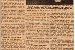 whale-bone-article-img390