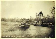 sanford-and-brooks-tug-triscilla-img181