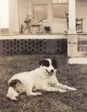 scott-saunders-pictures-16
