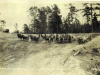 horse-teams-at-lake-prince-img183
