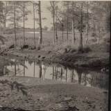 image1-33