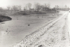 image1-46