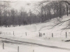image1-13