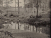 image1-33