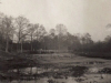image1-35