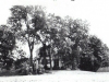 image1-39