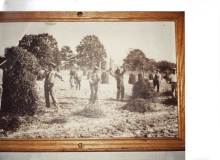 2-workers-in-peanut-field