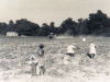 Digging-potatoes-cedar-brook-farm-img099